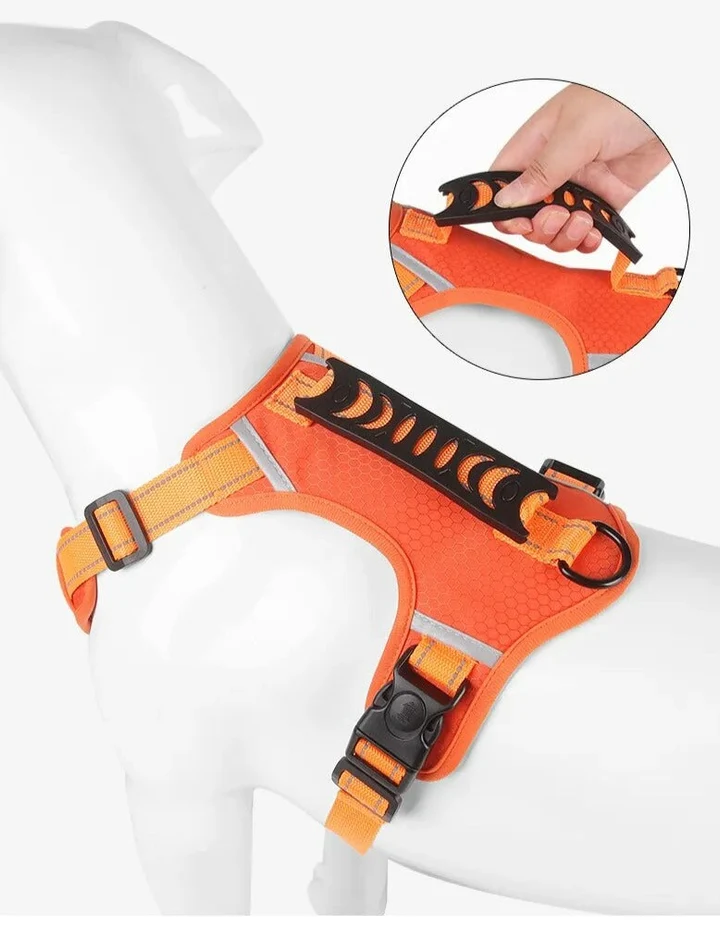 WalkEase™ | De Comfortabele Hondenhalsband
