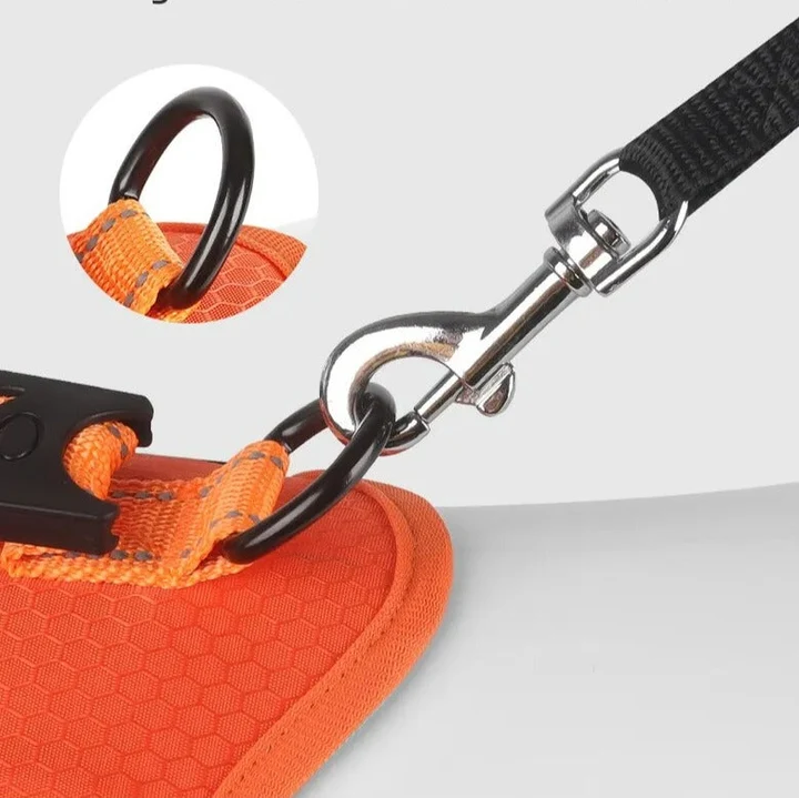 WalkEase™ | De Comfortabele Hondenhalsband