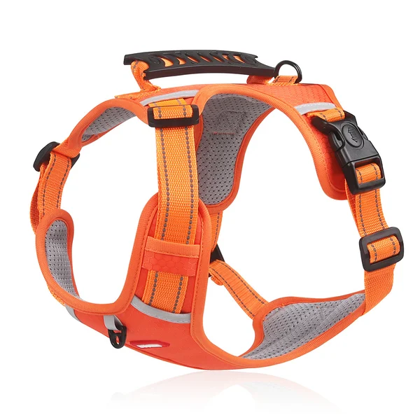 WalkEase™ | De Comfortabele Hondenhalsband